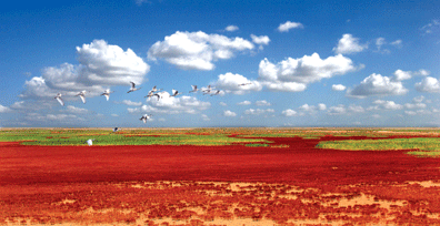 80973cc2739962dba2c00772d9df708f.gif
