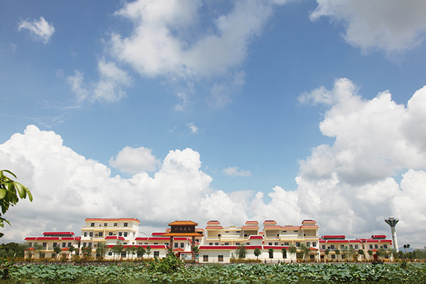 平南丹竹镇gdp_广西平南丹竹镇街图片(3)